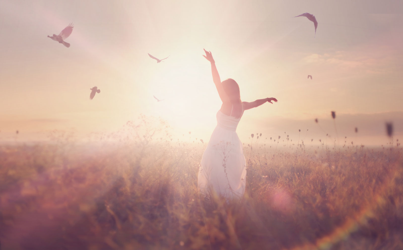 Ayurveda Transformation