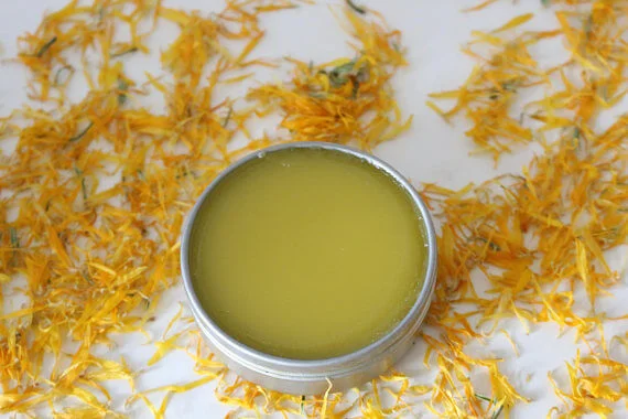 calendula-salve-1 calendula-salve-1